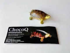 海洋堂 チョコQ 日本の動物 コレクション第 9弾／　ヤエヤマミナミイシガメ