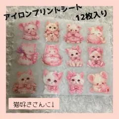 【値下げ】アイロンプリントシート 1シート12枚 猫 オリジナルポーチに