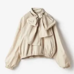 Item thumbnail for item e4c9bcc1-bf69-45f9-95d1-15fd6ed37451