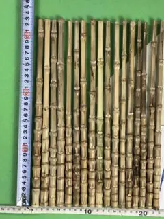 釣り具・その他グリップ用布袋竹「太・極上物・芽取り済み」9本セットA 釣り具・その他グリップ用布袋竹「細・極上物・芽取り済み」13本セット