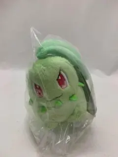 ポケモン 海外限定 カジッチュ ぬいぐるみ 果然一派 - メルカリ