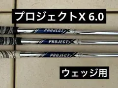 2025年最新】プロジェクトx シャフト 6.0の人気アイテム - メルカリ