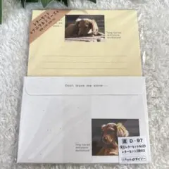 【新品✨未使用】レターセット❤︎犬　実写　子犬❤︎ミニチュアダックス☆平成レトロ☆
