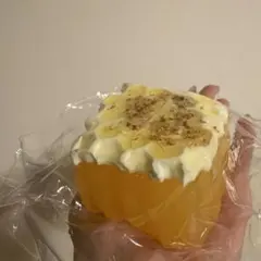 Baodan 蜂蜜 正方形　XL