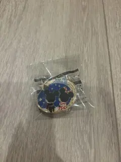 ディズニー アブーズバザール ジャングルカーニバル 景品 ミッキーアンドミニー