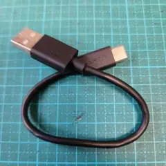 SONY WF-1000XM4 USB Type-Cケーブル