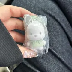 サンリオキャラクター カラフルカラビナ マスコットチャーム　ポチャッコ