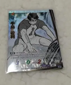 ハイキュー‼ バボカ 牛島+約白鳥沢200枚