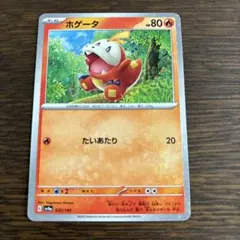 ポケモンカード　ホゲータ　ホロ　たいあたり　SV4α