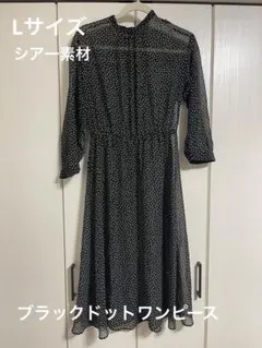 ①シアーワンピース　黒ドット　レディースLサイズ