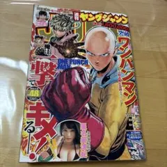 ヤングジャンプ増刊 漫太郎 2006年5月20日号 スラムダンク 流川楓