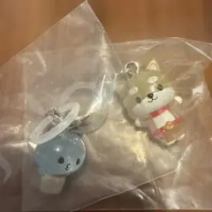 JOCHUM めじるしアクセサリー