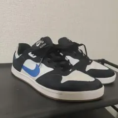 NIKE SB ALLEYOOP &VANS oldschool liteのサムネイル