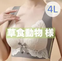 ノンワイヤーブラ ナイトブラ シームレスブラ 大きいサイズ 美胸 着痩せ 4L