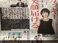 Item thumbnail for item 8d93916b-6dd5-4259-8936-62d6b30435b0