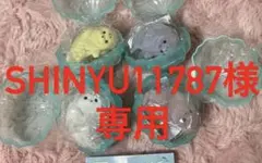 shinyu11787様　再送専用