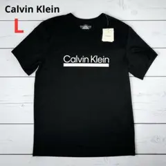 カルバンクライン tシャツ 半袖 CKロゴ L デカロゴ ユニセックス ブラック