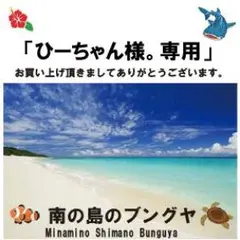 ひーちゃん様。専用