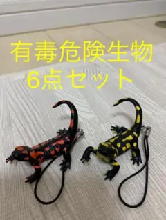 【海月出品】 2025年最新】海月大全の人気アイテム - メルカリ