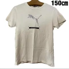 PUMA プーマ　Tシャツ 半袖　150㎝