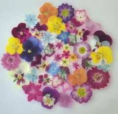 Item thumbnail for item ab0a4469-3f0e-47d3-9a06-aef8c4013969