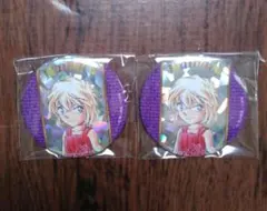 名探偵コナン 30周年 コナン展 ランダム缶バッジ 灰原哀 2個セット