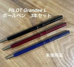2025年最新】万年筆 パイロット grandeeの人気アイテム - メルカリ