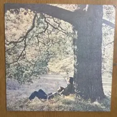 ジョンレノン プラスティック・オノ・バンド AP-80174