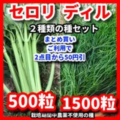 セロリ＆ディルの種セット⭕️のサムネイル