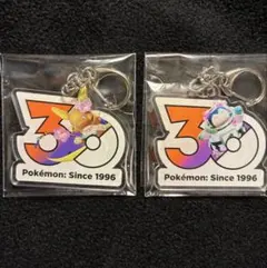 ポケモンユナイト 30周年 アクリルキーホルダー ライチュウ カビゴン 非売品 ポケモンユナイト 30周年 アクリルキーホルダー ライチュウ カビゴン