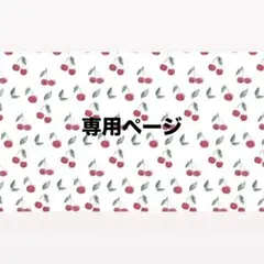 こちらは専用ページです。