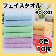 フェイスタオル　まとめ売り　１０枚セット 吸水　速乾　クマ　カラフル　アウトドア