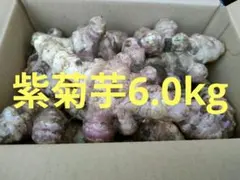 土付きお得な紫菊芋6.0kg（農薬化学肥料不使用)