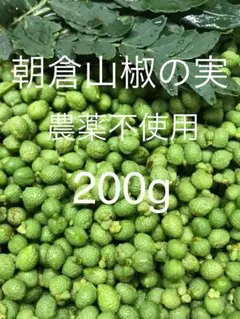 天然 花山椒 20g 朝摘み 長野県白馬産 - メルカリ