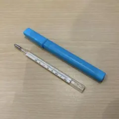 2026年最新】水銀体温計の人気アイテム - メルカリ