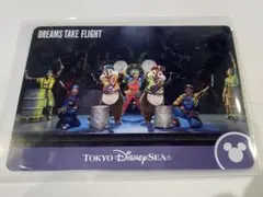 ドリームステイクフライト　コレクションカード　チップ&デール1枚