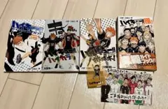 ★美品★ ハイキュー!! ガイドブック・イラスト本セット（特典付き）