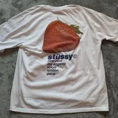 STUSSY ステューシーストロベリーTシャツXL