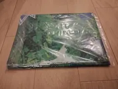 ベルマーレ 応援グッズ