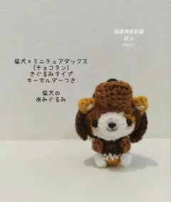 ミニチュアダックスのきぐるみを着た 柴犬のあみぐるみ キーホルダー
