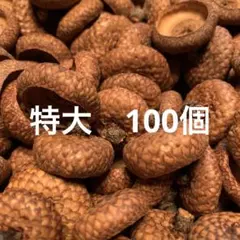 のんのこ様 リクエスト 2点 まとめ商品