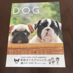 Item thumbnail for item 84366f92-6ff6-49b7-a514-e2a1958fc938