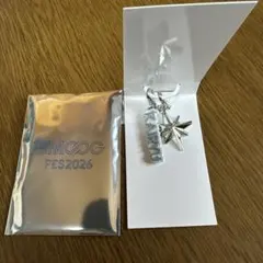 BMSG FES'26 ランダムマーカーチャーム KAIRYU