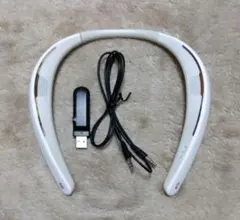 Item thumbnail for item 9053d61a-17fd-40a7-8e6b-dea614080835