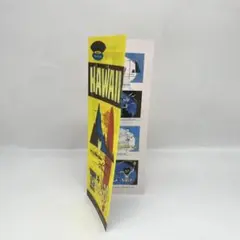 ディズニー ピクサー トイストーリー ハワイアンバケーション登場 ケン バービー