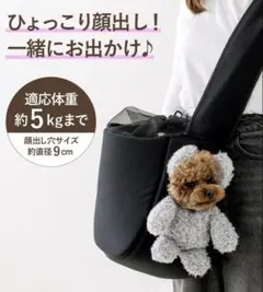 新品未使用タグ付き　顔出しベアバック　グレー　スリーコインズ