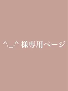 専用ページです本人様以外購入❌