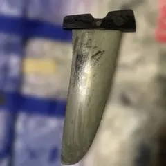 Item thumbnail for item 8aefb08a-7a1f-4bee-af56-3905c9d0f43a