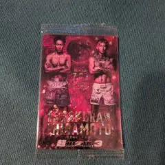 RIZIN ウエハース　　朝倉未来　平本蓮