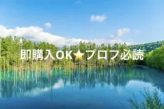 灰Mショーツ　カルバンクライン レディース 下着